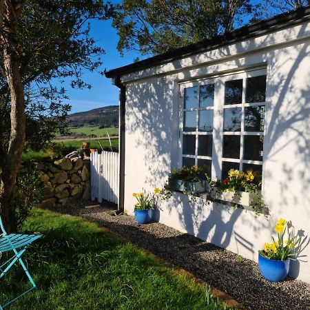 Lynam Cottage Ashford Exteriör bild