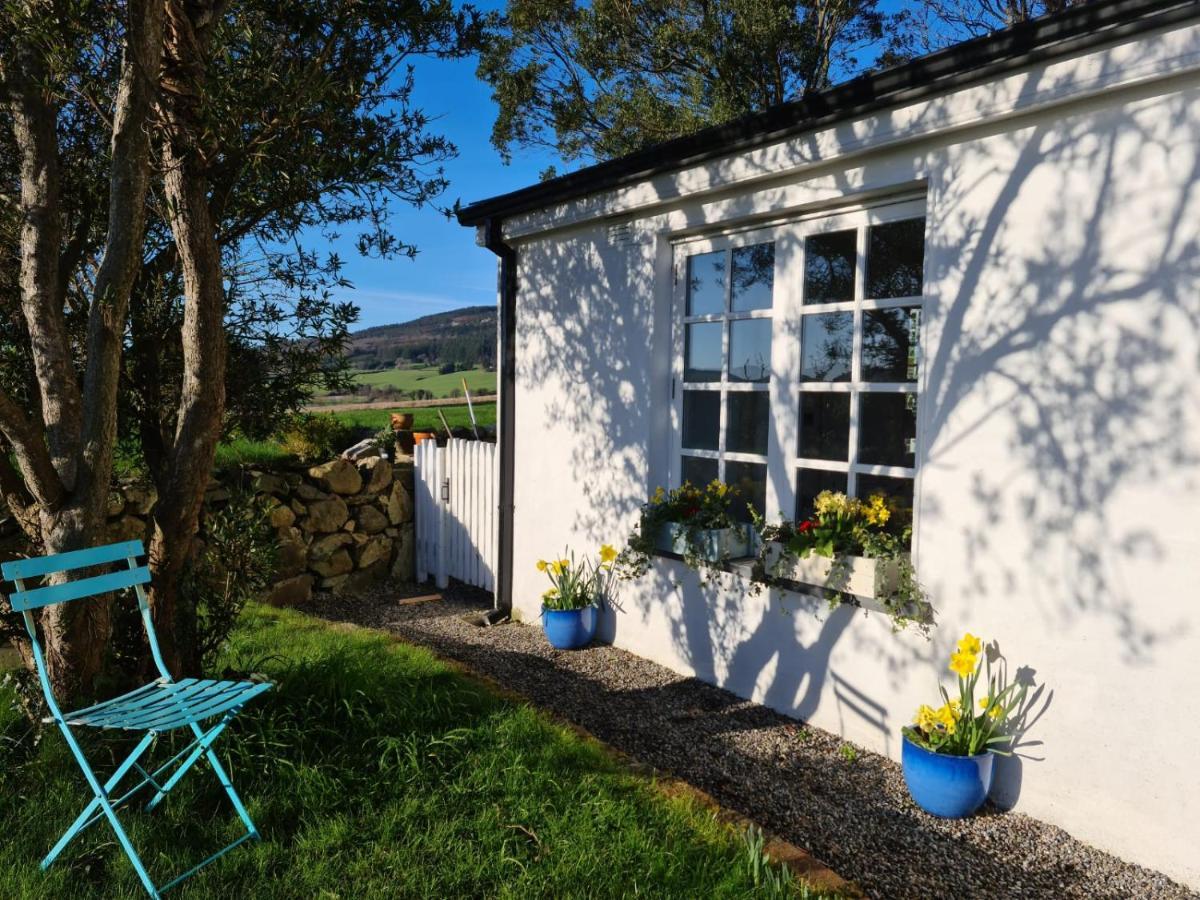 Lynam Cottage Ashford Exteriör bild